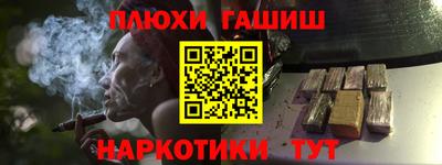гашик Кулебаки